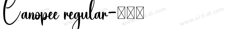 Canopee regular字体转换